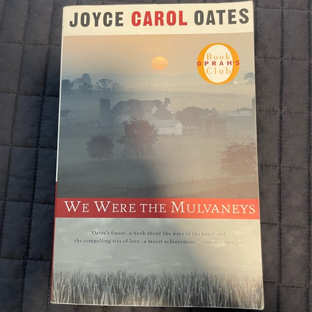 We Were the Mulvaneys Book by Joyce Carol Oates
